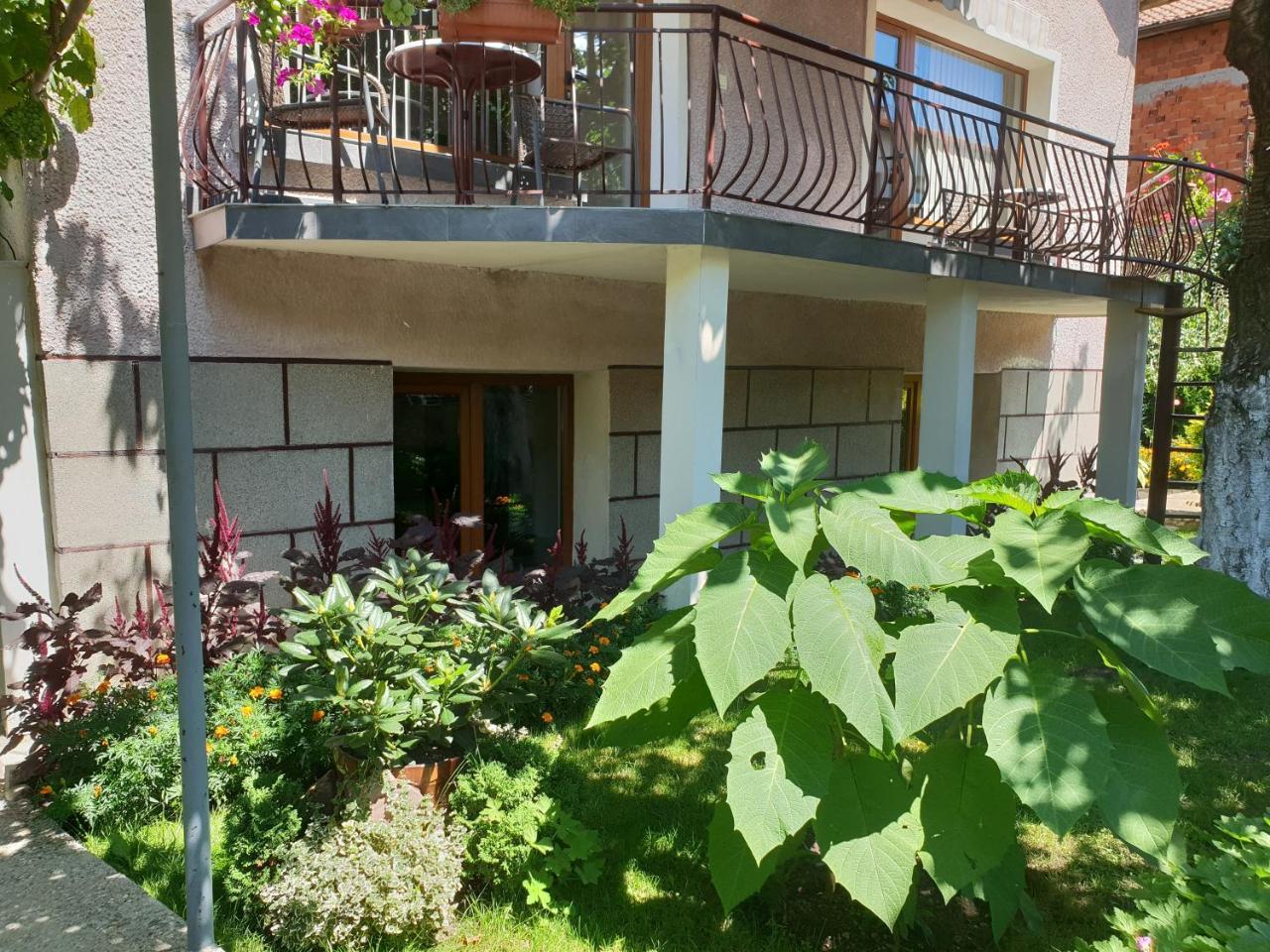 Kyurkchievi Guest House Sapareva Banya Esterno foto